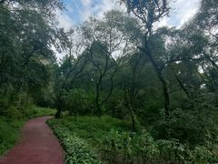 -萨尔浒风景区