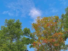 -南岳衡山风景名胜区-南岳大庙