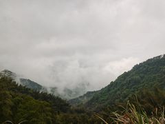 -横岗山森林公园