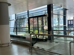 -上海浦东国际机场-T2航站楼