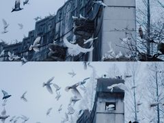 -音乐台