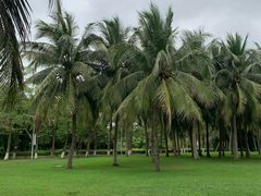 -白沙门生态公园