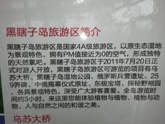 -黑瞎子岛探秘野熊园