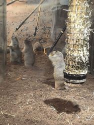 -Zoolung Zoolung动物主题公园(海信广场店)