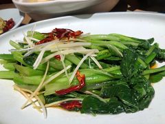 -老长春肉馆(飞跃路店)