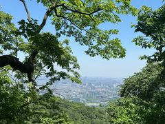 -灵顺寺