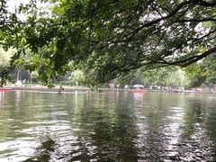 -西湖外事游船(花港观鱼码头)