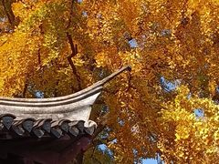 -水绘园