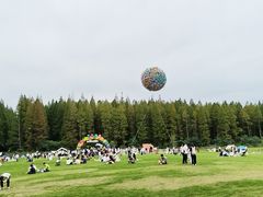 -黄海国家森林公园