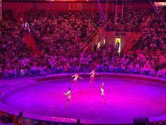 -俄罗斯国家大马戏团