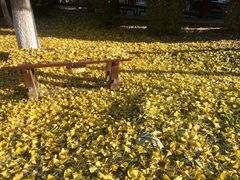 -金石唐风国际温泉会馆