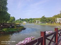 -上海鲜花港
