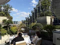 -柴门·头啖汤(天安千树店)