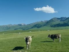 -新疆那拉提国家旅游度假区