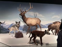 -陕西自然博物馆