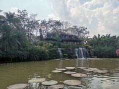 -中国科学院西双版纳热带植物园
