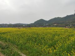-红山村