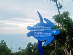 -广东惠东海龟国家级自然保护区