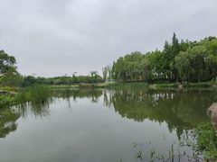-贡湖湾湿地公园