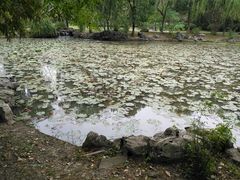 -范蠡湖公园