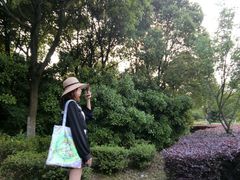 -八大山人梅湖景区