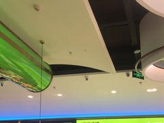 -洪氏嗨捞·广东猪肚鸡·椰子鸡火锅(西咸万象城店)