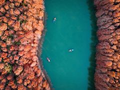 -上海海湾国家森林公园