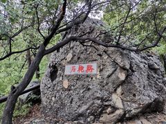 -阳台山自然风景区