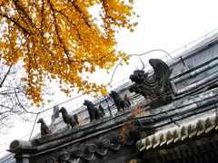 -潭柘寺景区