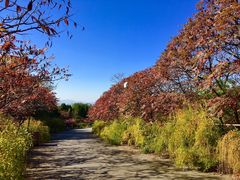 -奥林匹克森林公园北园-停车场