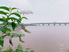 -平湖九龙山旅游度假区