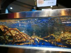 -盒马鲜生(莱蒙都会店)