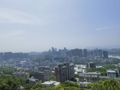 -福道