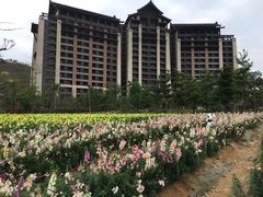 -清远熹乐谷温泉度假酒店