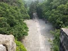 -紫金山山顶公园