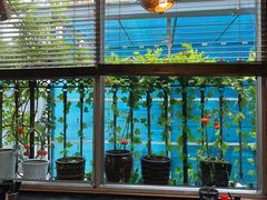 -屯屯面(海尔路店)