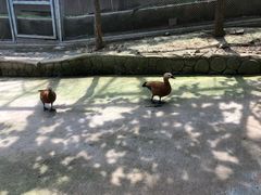 -燕塞湖鸟语林景区