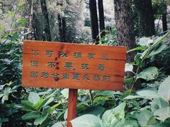 -寂照庵