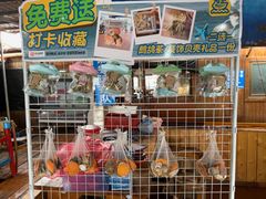 -蓝湾碧波·老字号·疍家非遗海上餐厅