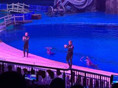 -华夏文旅海洋公园