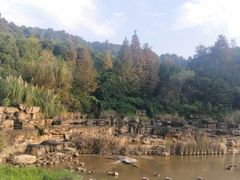 -铁山坪森林公园