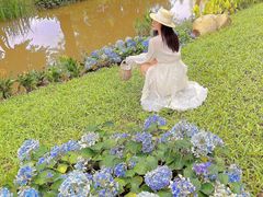 -人民公园(罗湖区)