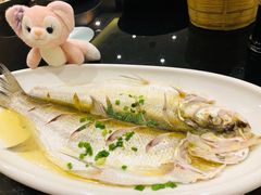清蒸白水鱼-锡和无锡菜(景丽苑店)