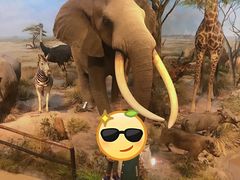 -陕西自然博物馆