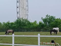 -白鹿原·白鹿仓