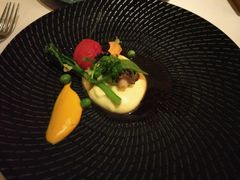 -蝶舍·MAISON PAPILLON