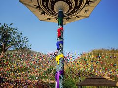 -西双版纳原始森林公园