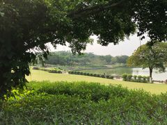-东莞植物园