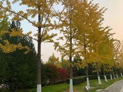 -北京园博大酒店