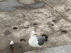 -星海广场